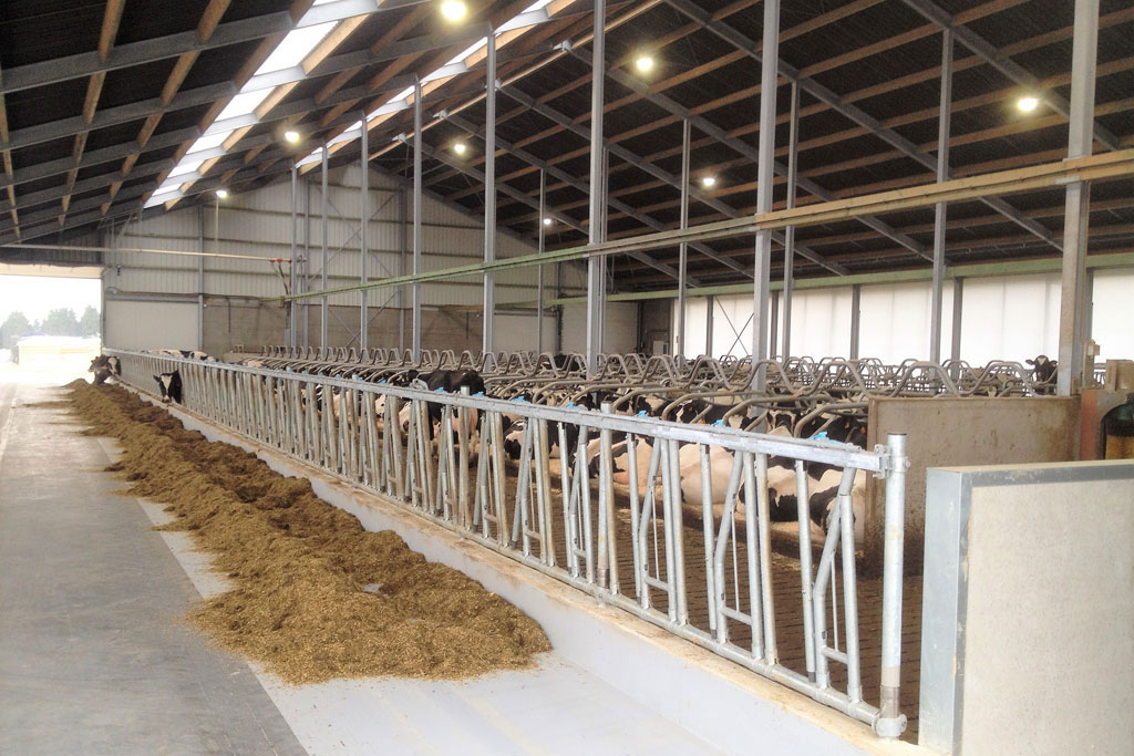 Hulsbosch Bouwbedrijf uit Limburg - offerte koeienstal of paardenstal
